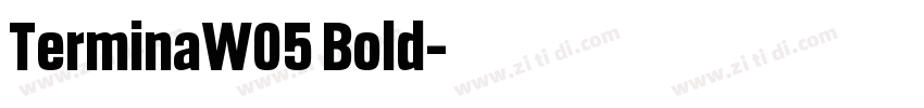 TerminaW05 Bold字体转换